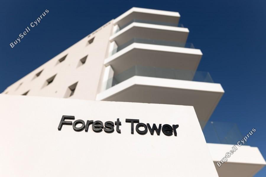 2 bedroom apartment for rent kato paphos universal paphos 8359295 image 15846738