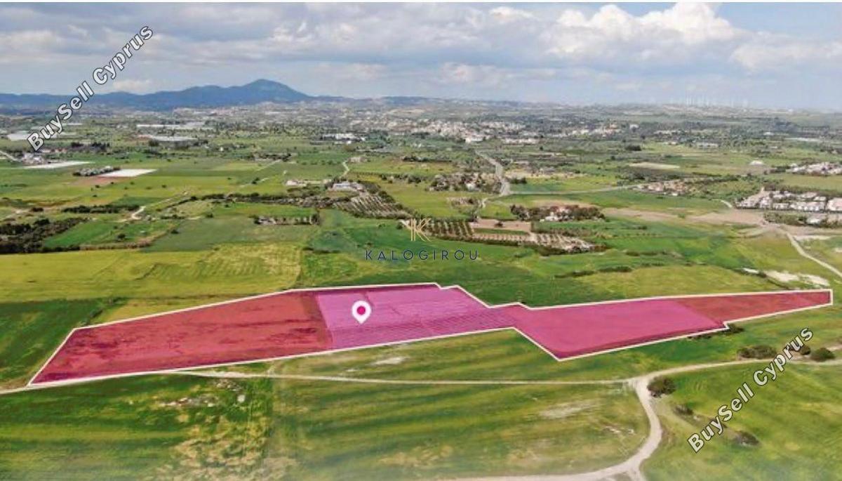 land for sale mazotos larnaca 1246295 image 11429534