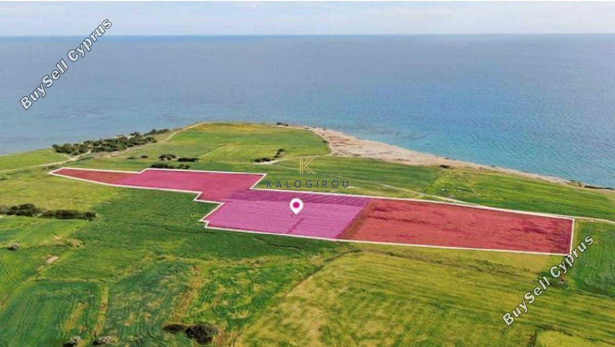 land for sale mazotos larnaca 1246295 image 11429537