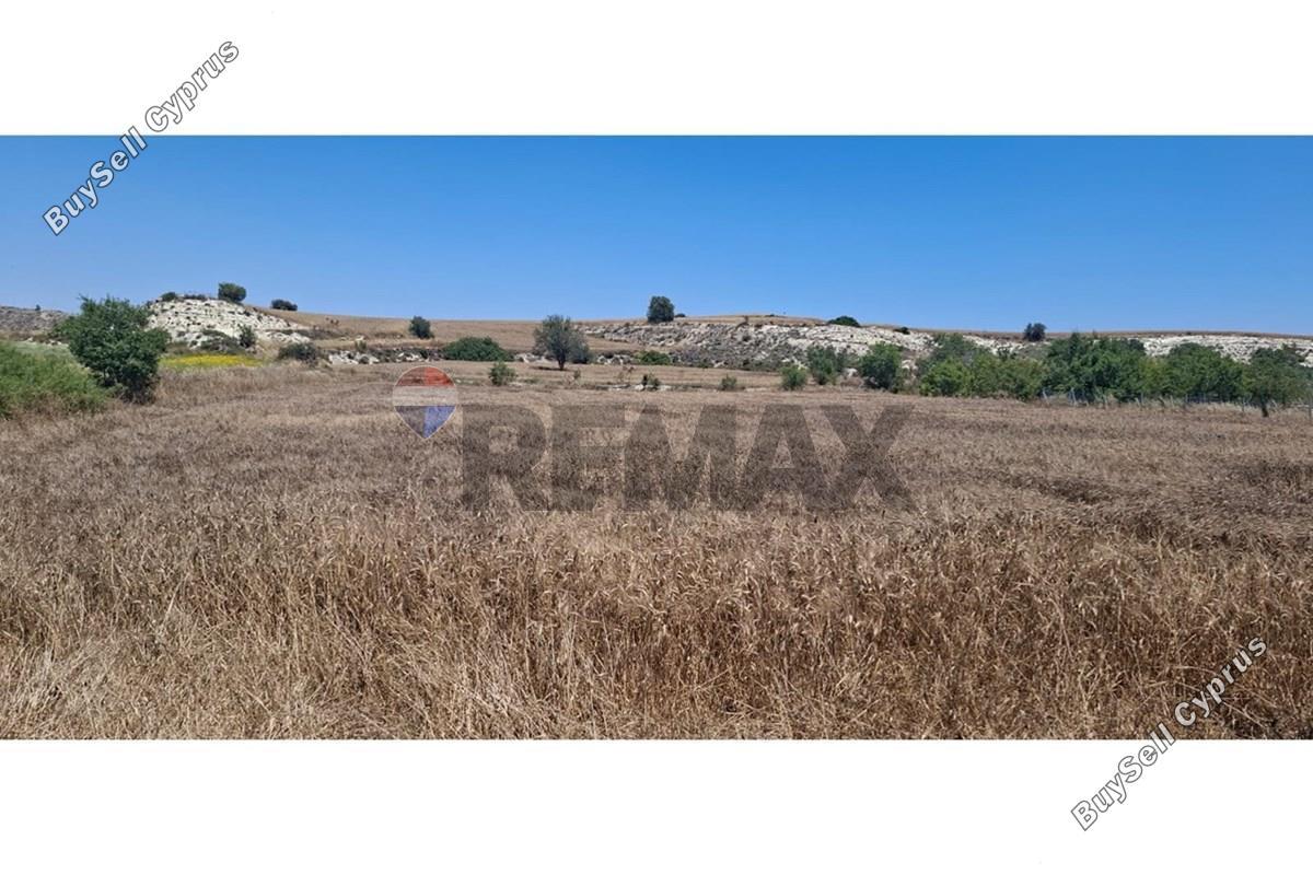 plot for sale anafotida larnaca 8926295 image 17613704