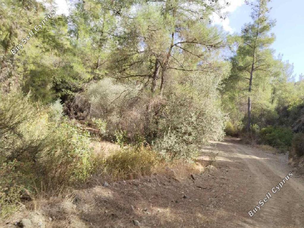 22743 SQM Land for sale in Lysos, Paphos 15597241