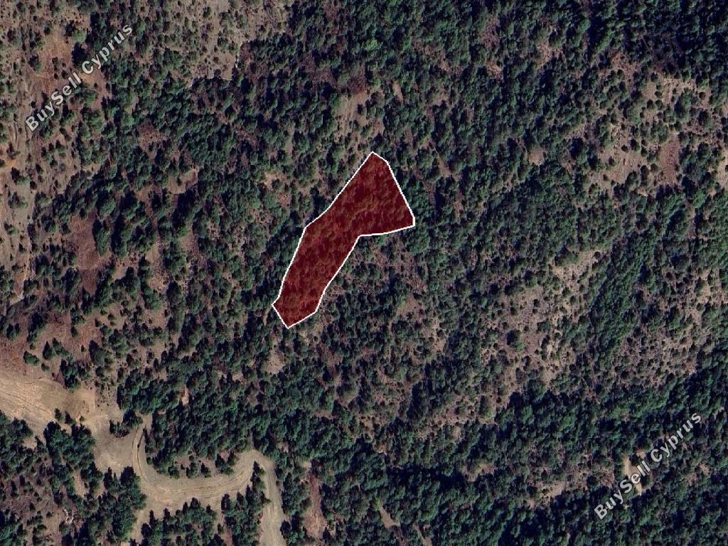 8696 SQM Land for sale in Anadiou, Paphos 15598027