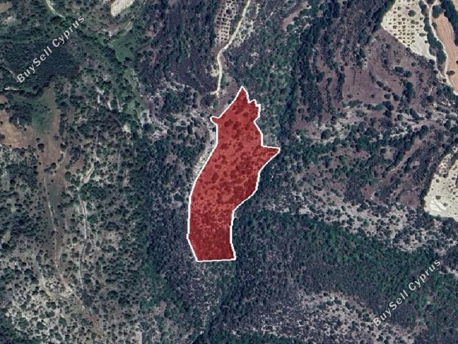 land for sale amargeti paphos 8630395 image 15873027