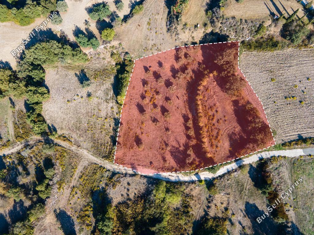 land for sale peristerona pafou paphos 946395 image 16009289