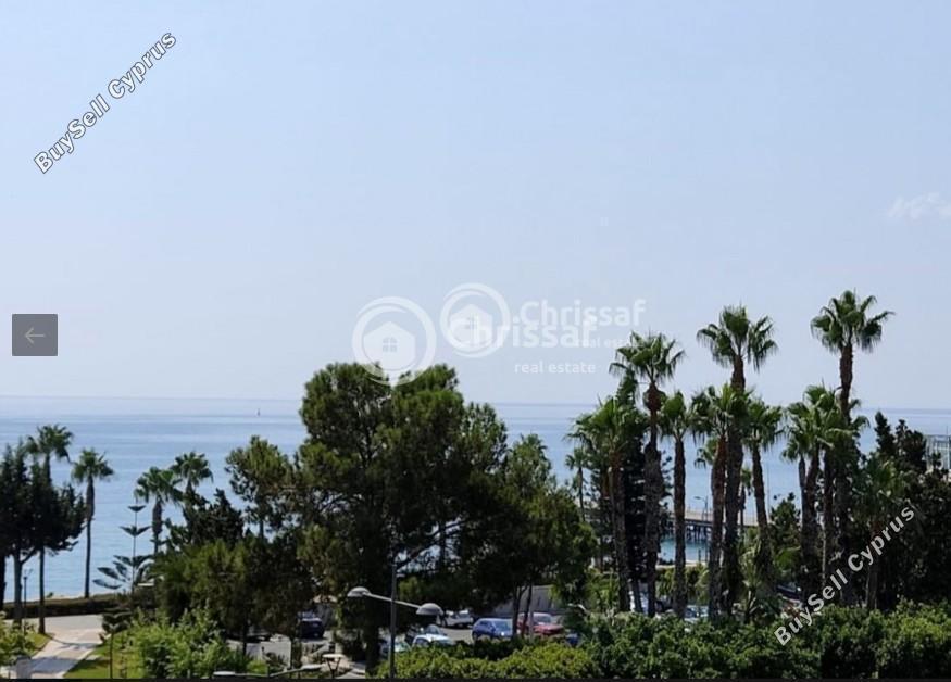 studio office for rent limassol municipality limassol 1873395 image 11782543