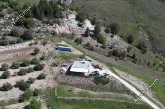 3 bedroom bungalow for sale kilinia paphos 8442495 image 15045455