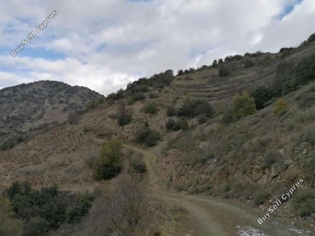 4125 SQM Land for sale in Farmakas, Nicosia 15603236
