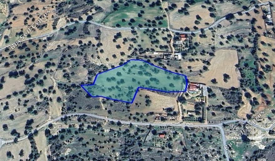 land for sale anogyra limassol 1545595 image 5863488