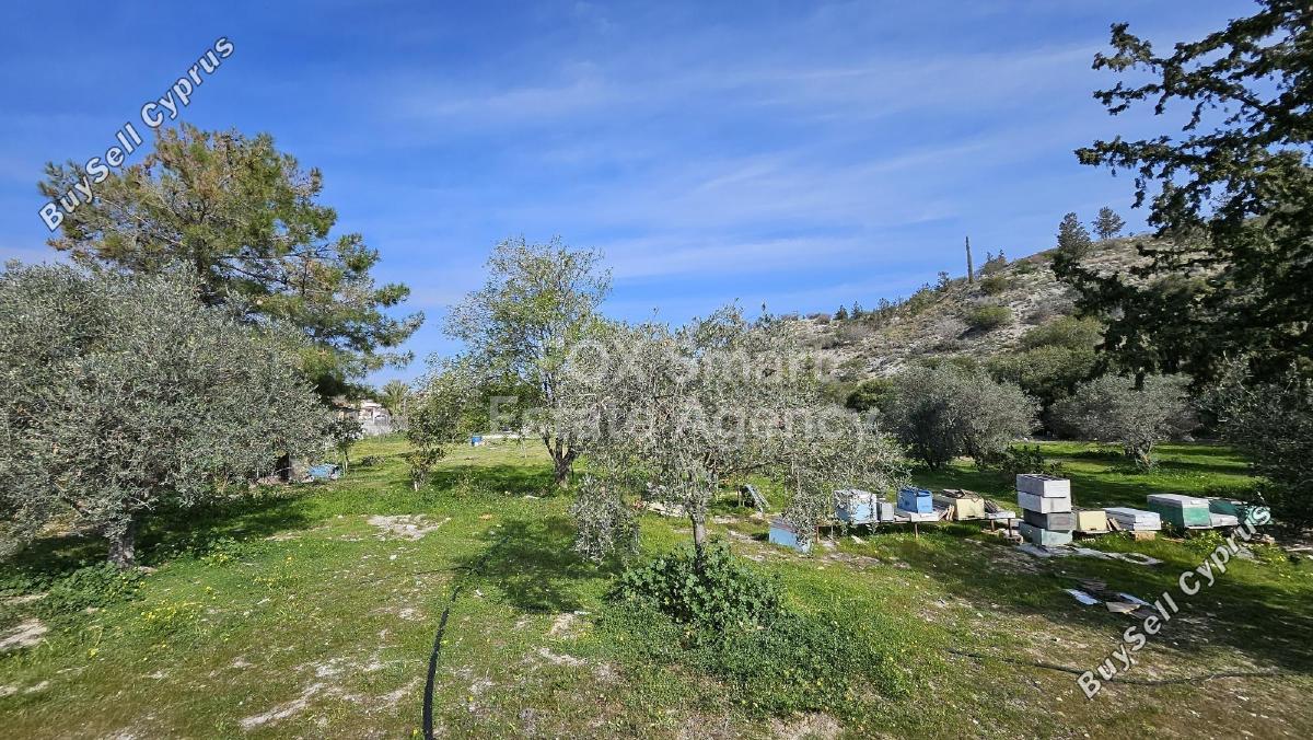 land for sale aradippou larnaca 1744595 image 5813298