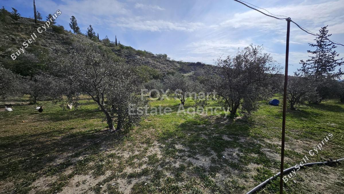 land for sale aradippou larnaca 1744595 image 5813311