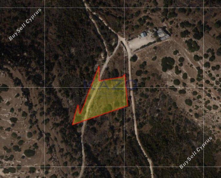 land for sale foinikaria limassol 1735595 image 13091110