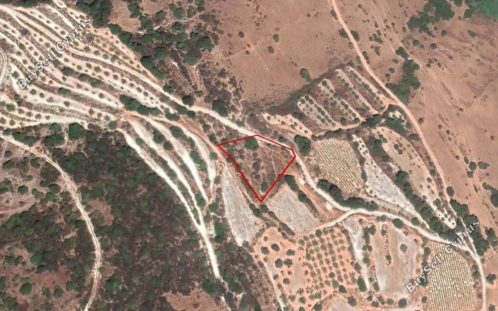 land for sale kallepeia paphos 906595 image 2808785