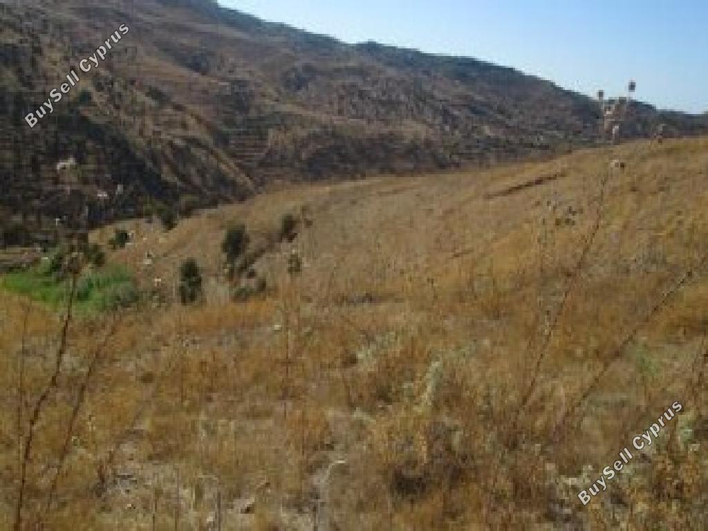 land for sale statos agios fotios paphos 7703595 image 15596539
