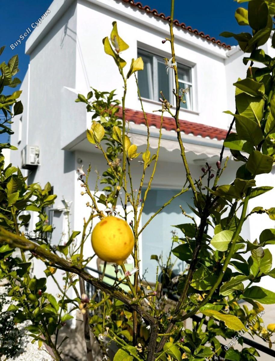 4 bedroom detached house for rent peyia paphos 8574695 image 16032957