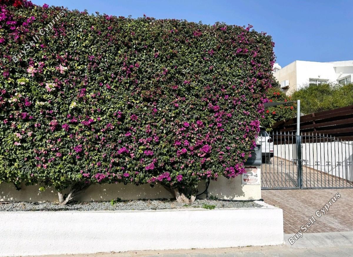 4 bedroom detached house for rent peyia paphos 8574695 image 16032962