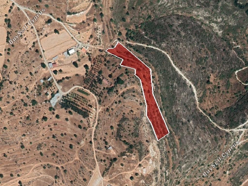 land for sale pachna limassol 8785695 image 16656456