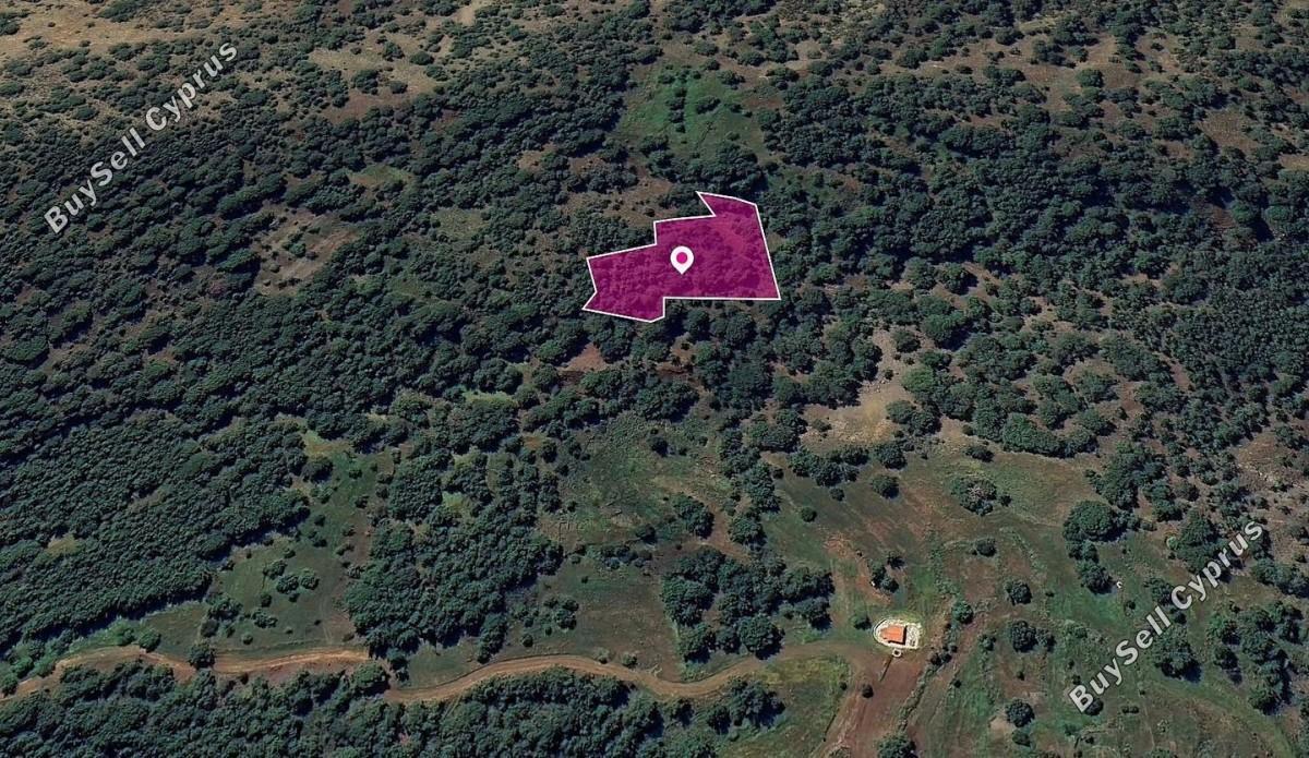 land for sale pomos paphos 8629695 image 15869565