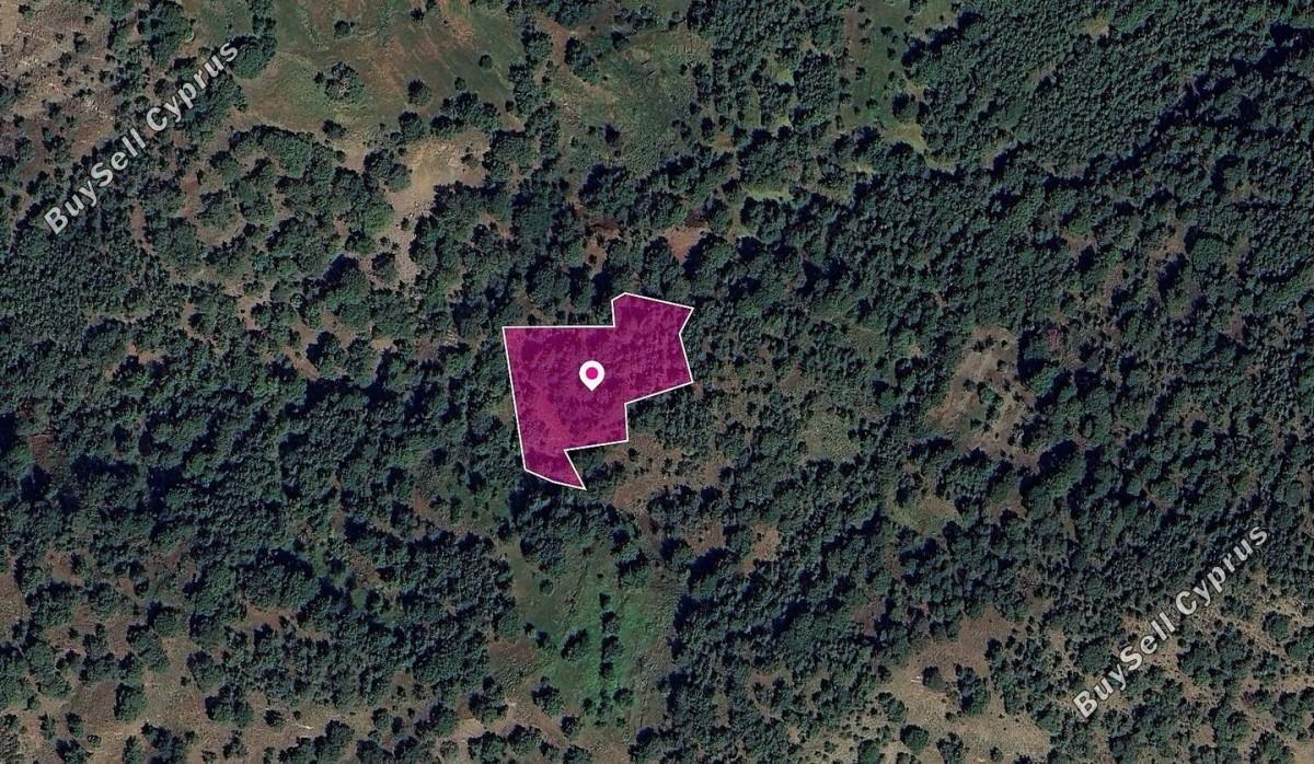 land for sale pomos paphos 8629695 image 15869566