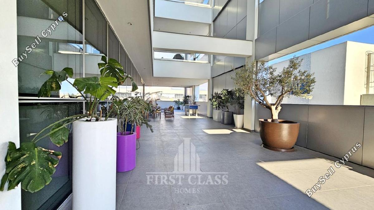 studio office for rent linopetra limassol 8705695 image 16260450