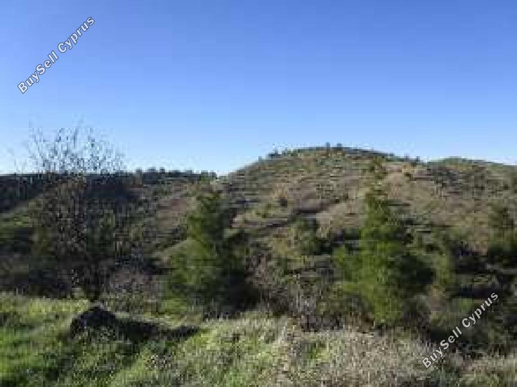 land for sale agios epifanios oreinis nicosia 1465795 image 15600194