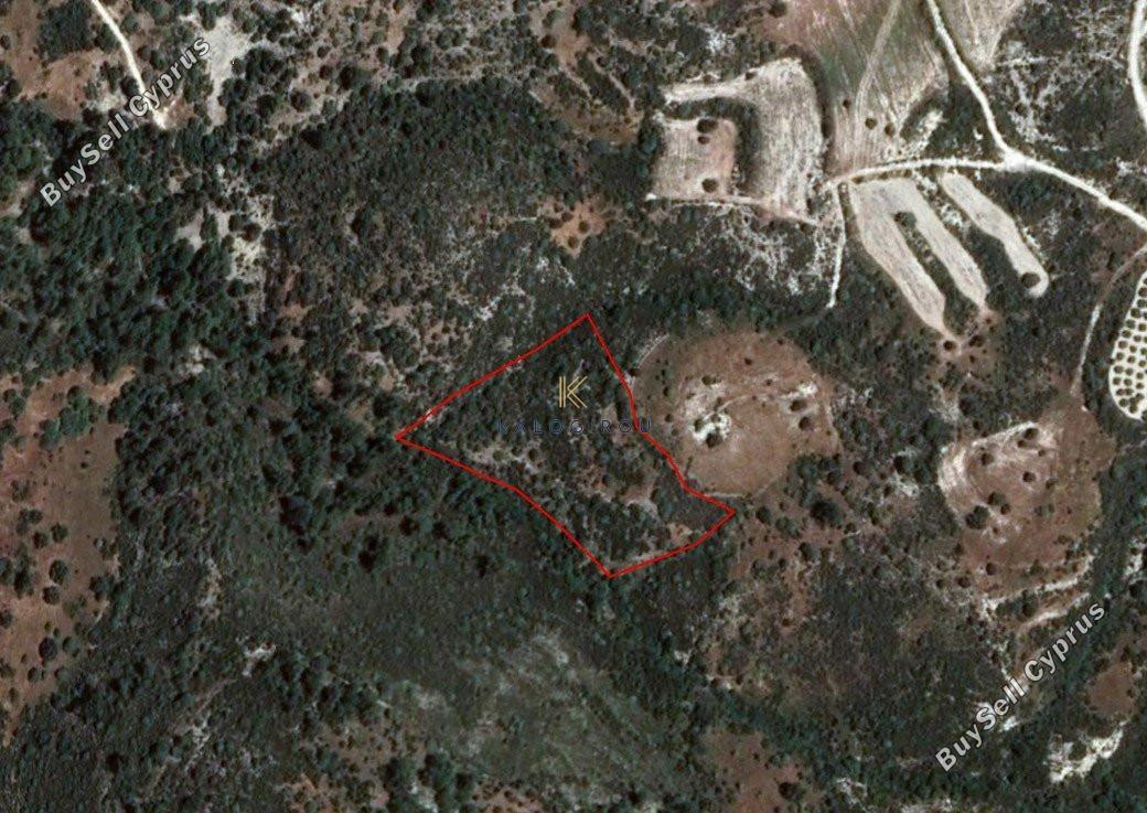 land for sale dora limassol 1194795 image 5570688