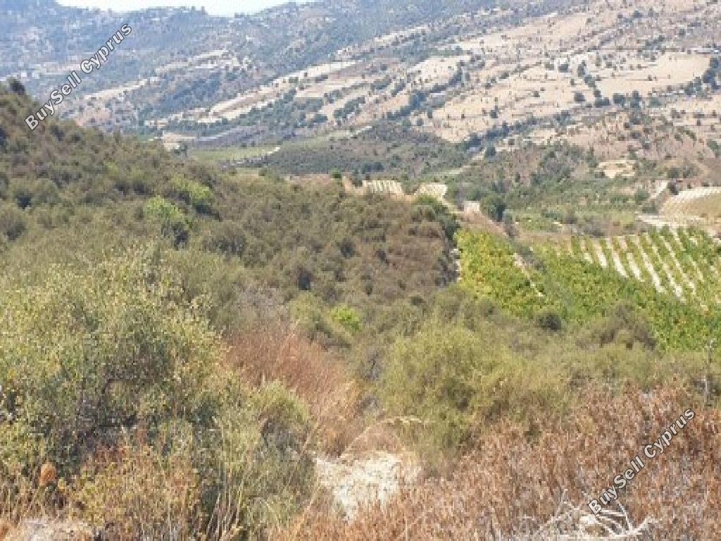 land for sale pachna limassol 945795 image 17102800