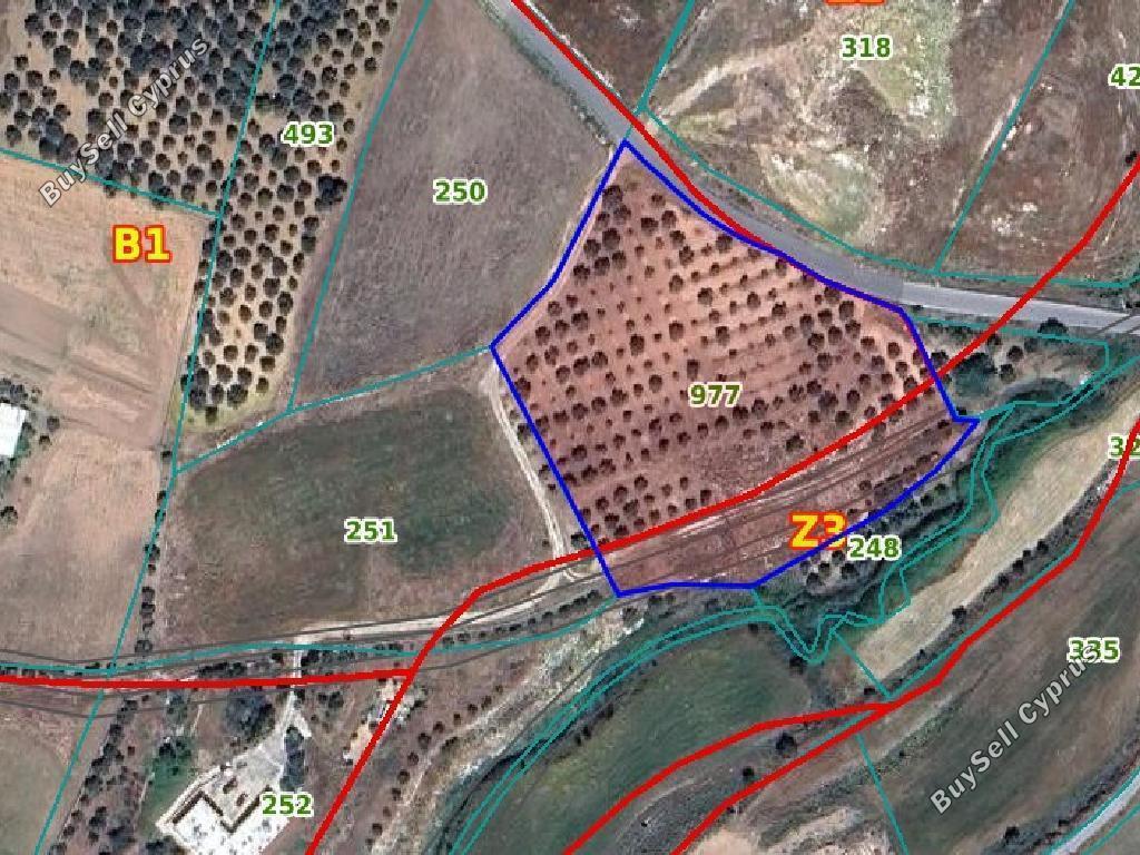 land for sale timi paphos 901795 image 15600014