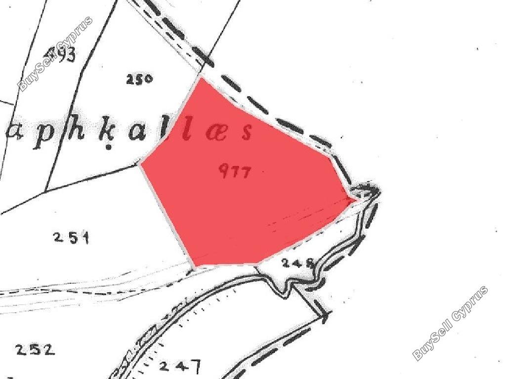 land for sale timi paphos 901795 image 15600015