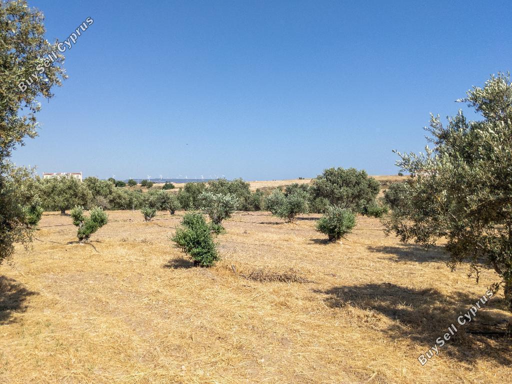 land for sale timi paphos 901795 image 15600018