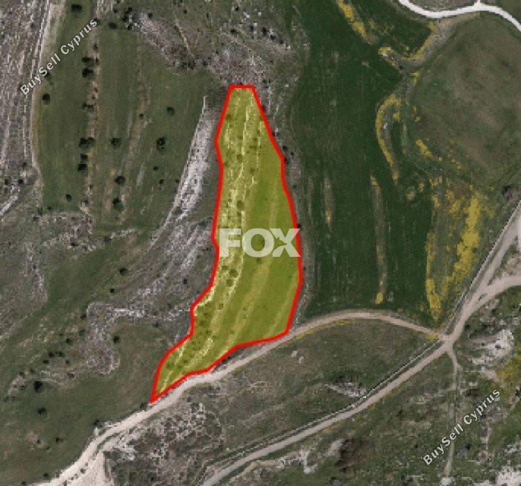 8696 SQM Land for sale in Agia Varvara, Paphos 10030022