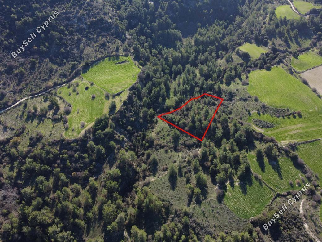 land for sale mousere paphos 839895 image 5481454