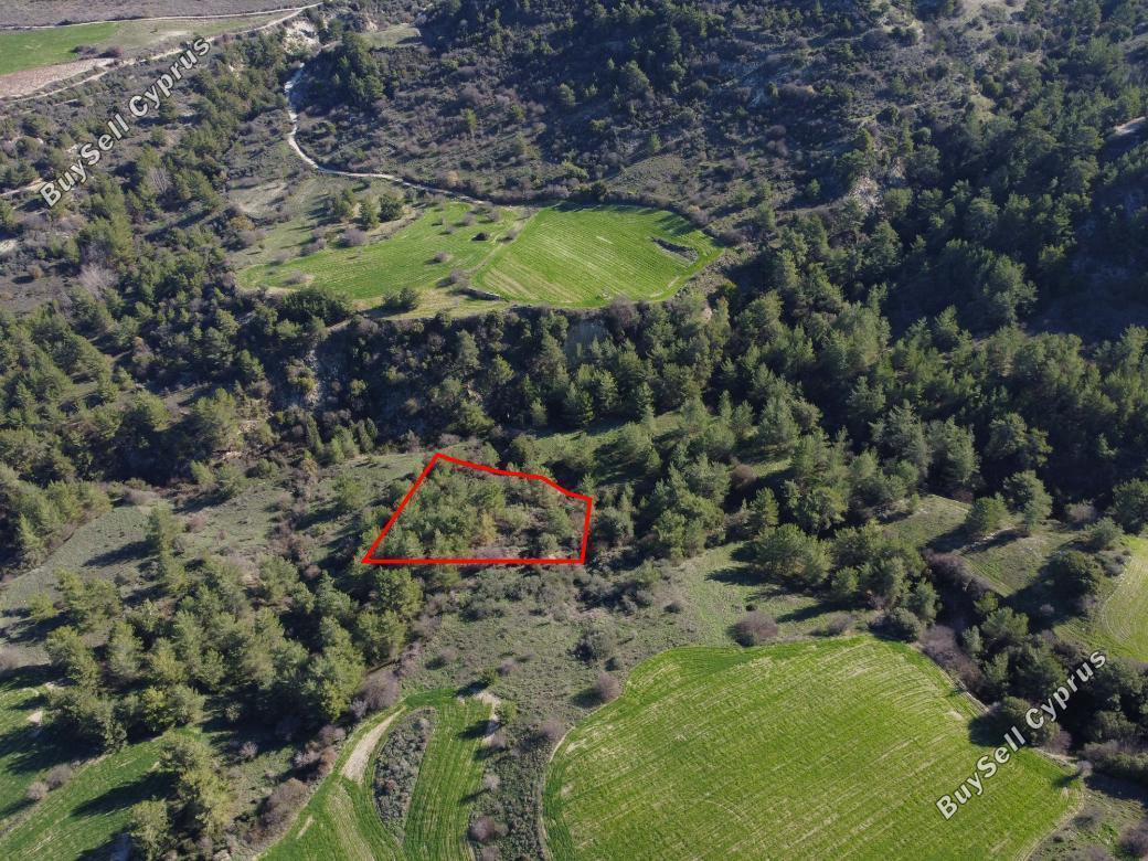 land for sale mousere paphos 839895 image 5481457