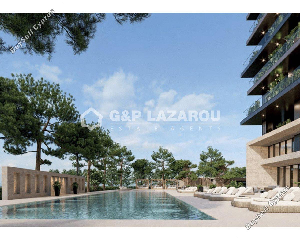 1 bedroom apartment for rent potamos germasogeias limassol 7579995 image 16334515