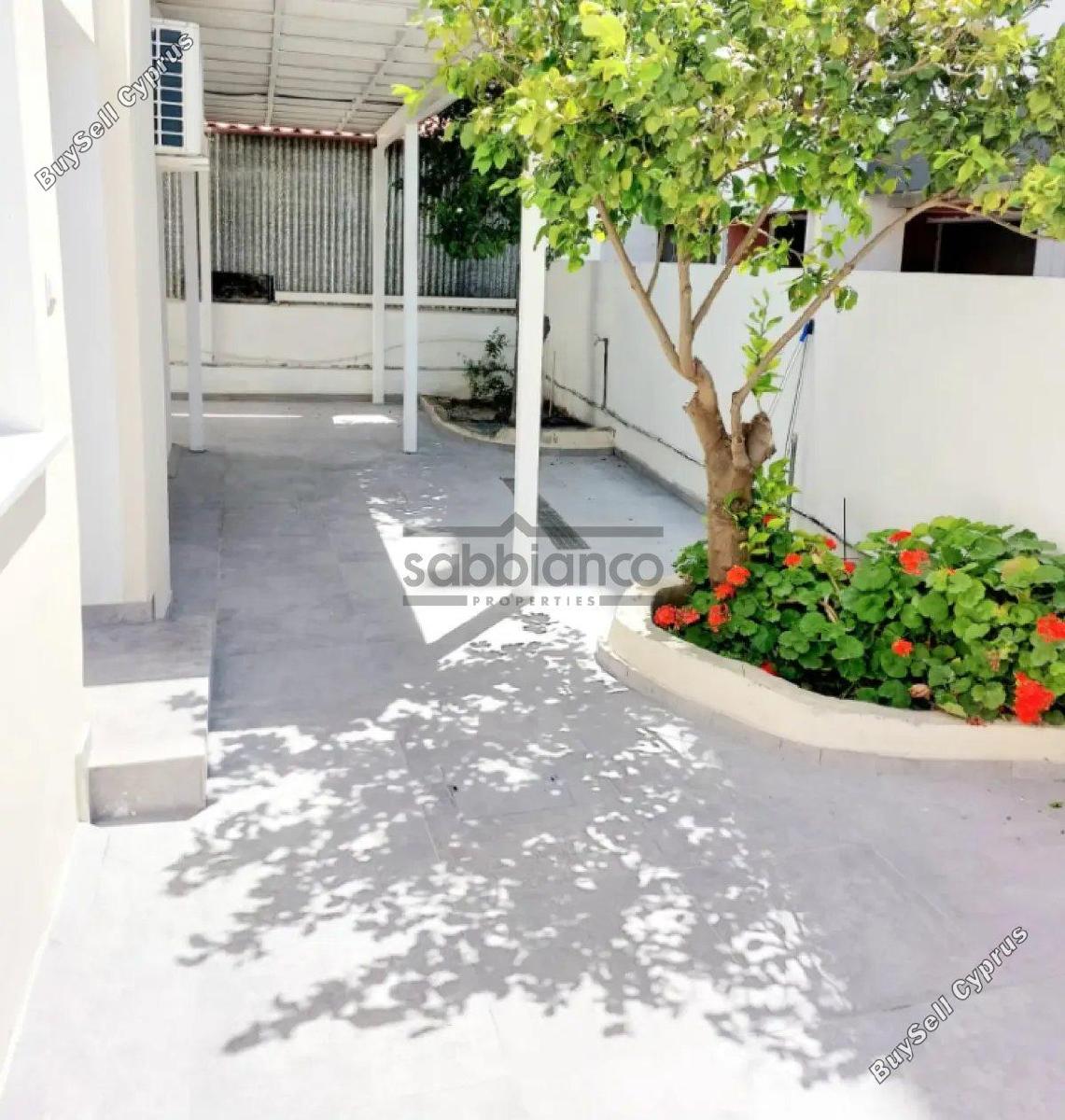 2 bedroom apartment for rent mesa gitonia limassol 8752995 image 16506609