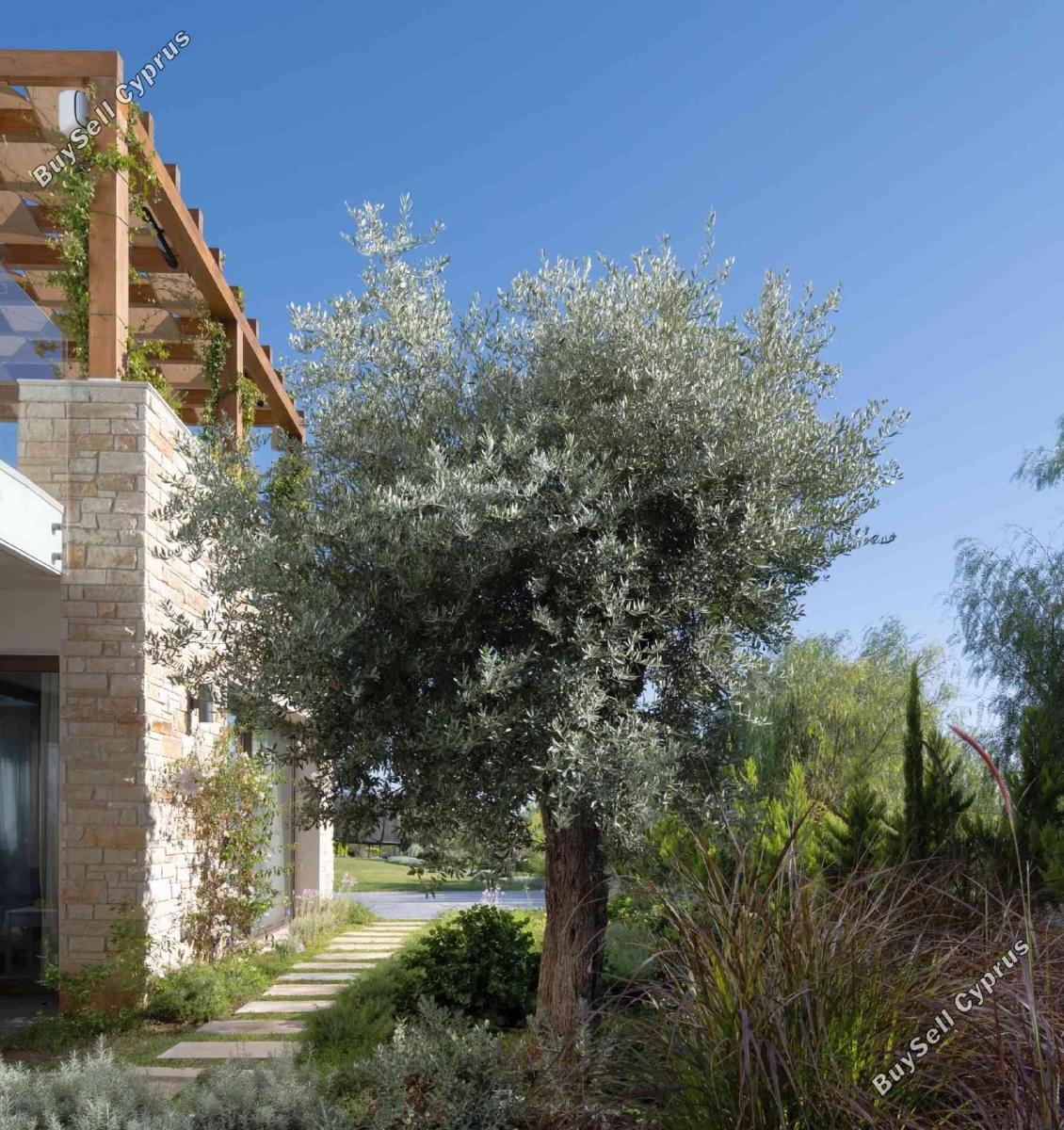 3 bedroom detached house for sale coral bay paphos 1290995 image 6183506