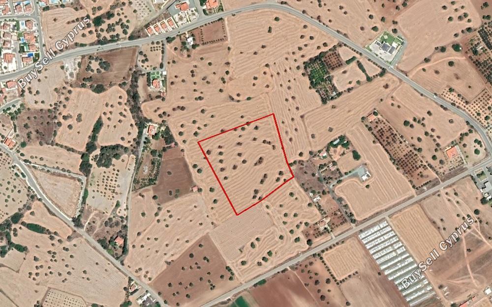land for sale mazotos larnaca 834995 image 13669185