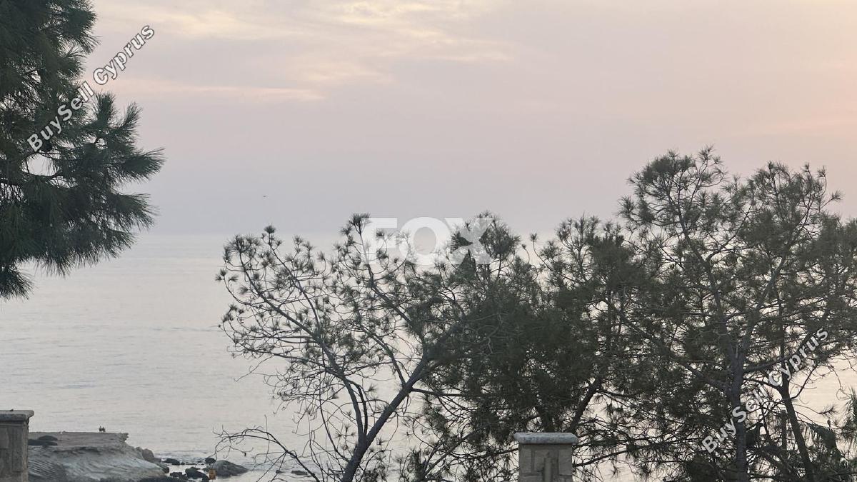 plot for sale saint george peyia paphos 7962006 image 14979650