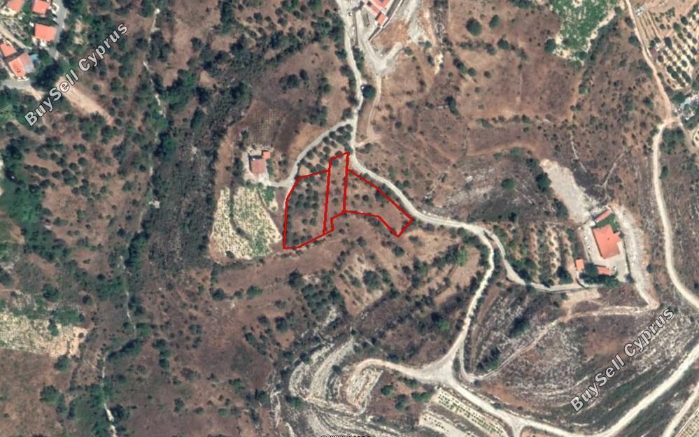 2500 SQM Land for sale in Vouni, Limassol 11081735