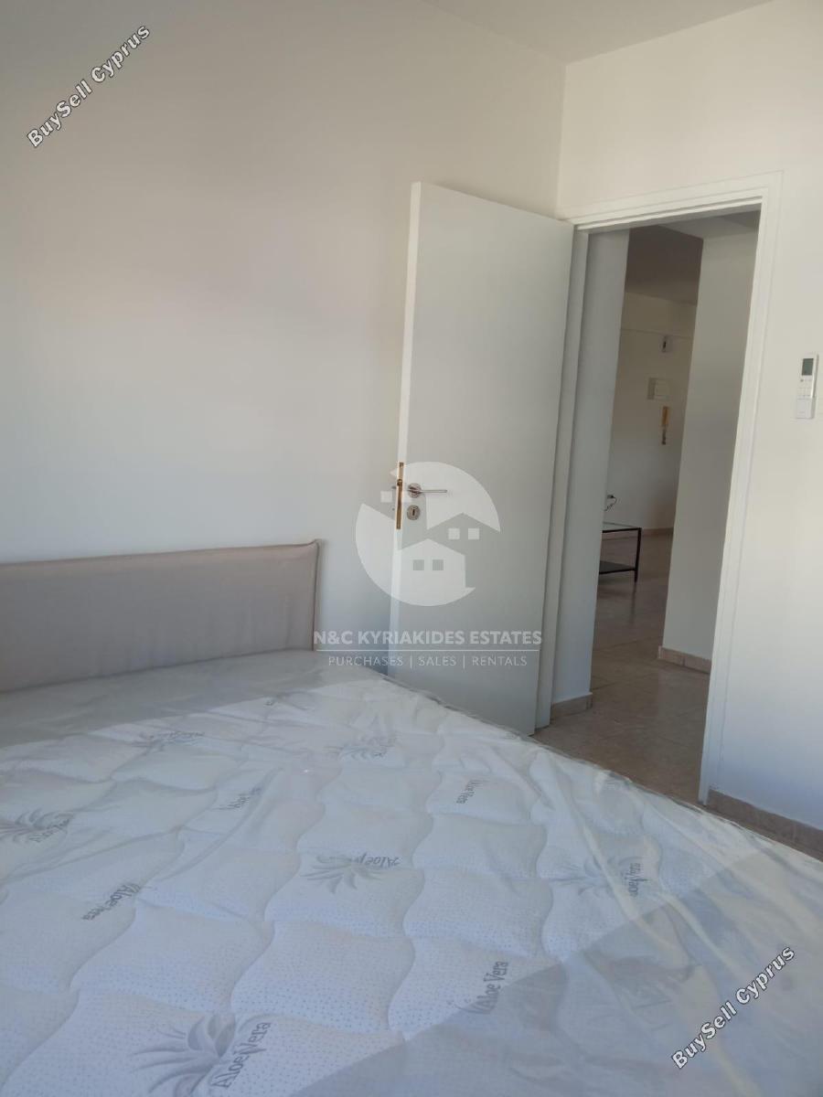2 bedroom apartment for rent chrysopolitissa larnaca 8946106 image 17699060