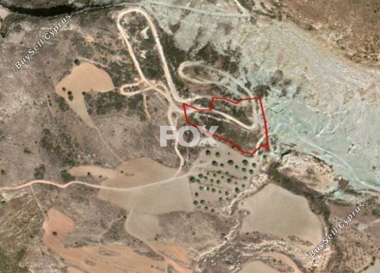 land for sale armou paphos 1159106 image 5517765