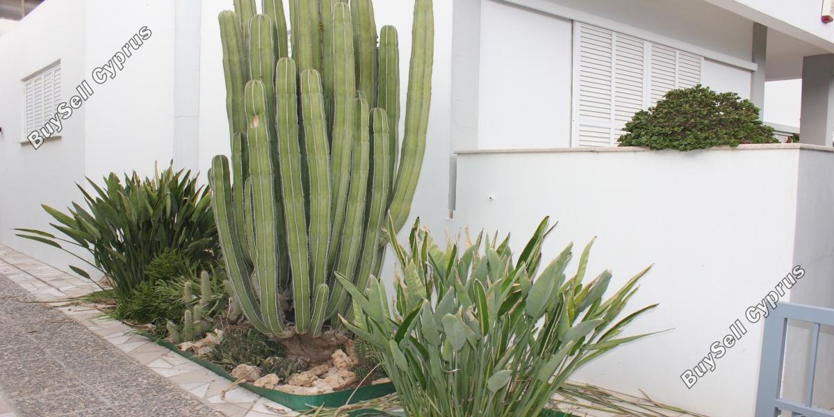 4 bedroom detached house for sale aglantzia nicosia 1592206 image 16161330