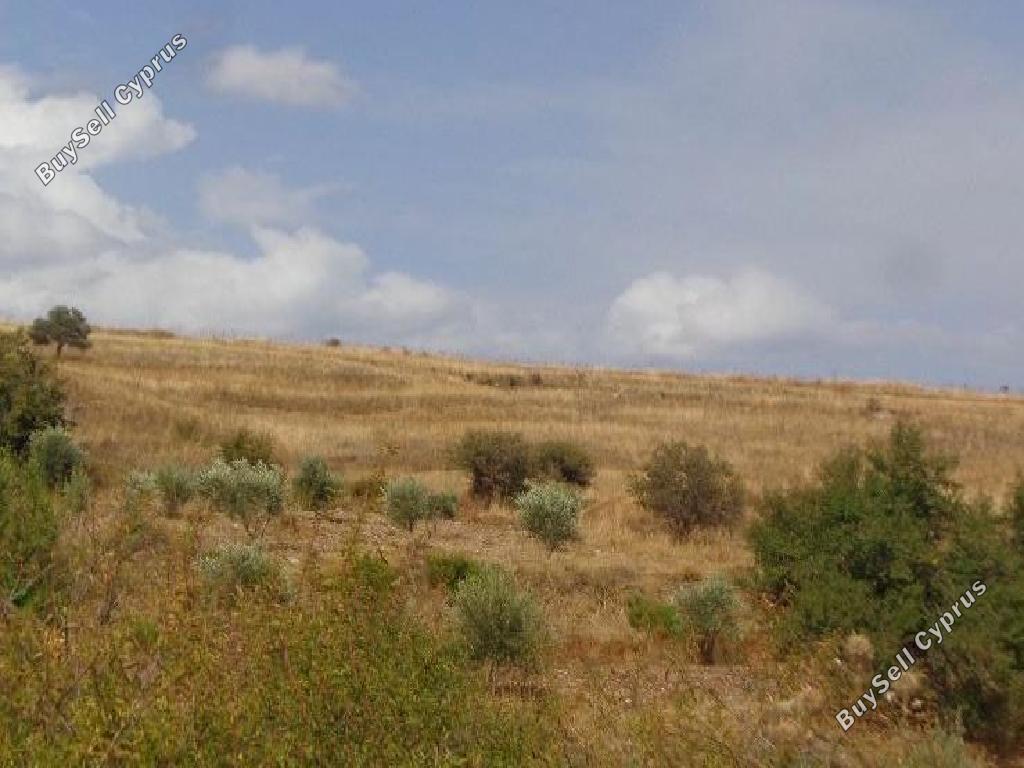 land for sale galataria paphos 1674206 image 15597038