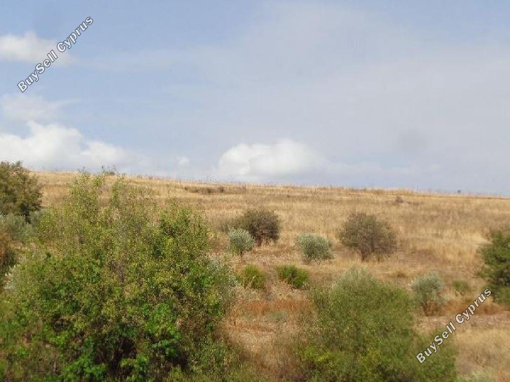 land for sale galataria paphos 1674206 image 15597039