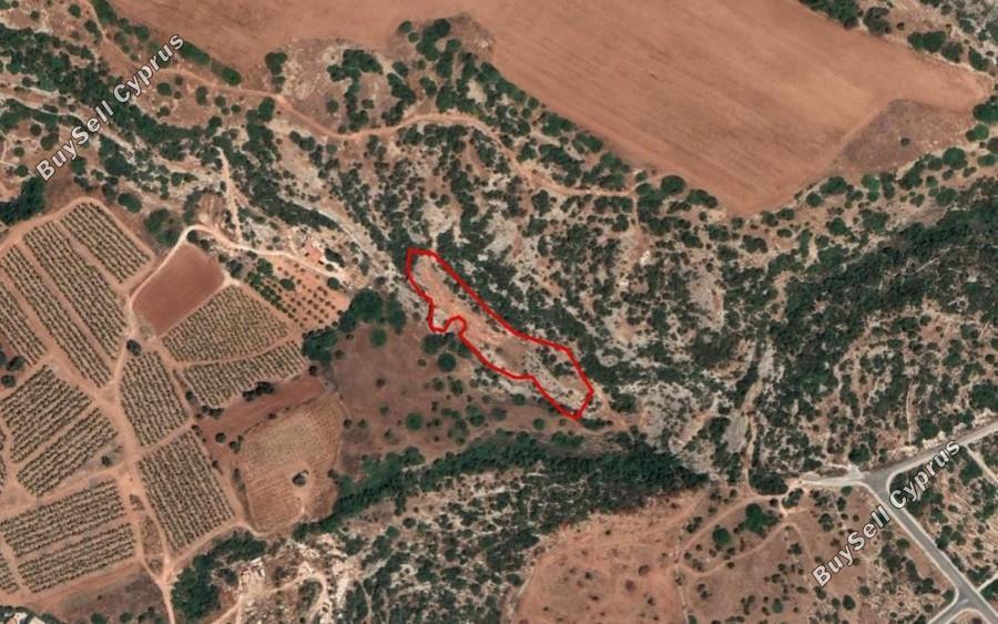 land for sale peyia paphos 1355206 image 15533345