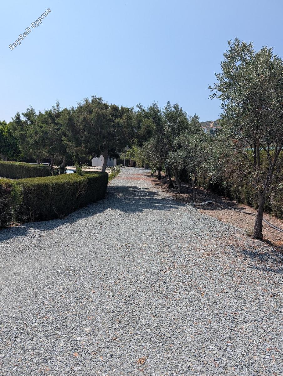 3 bedroom detached house for rent parekklisia limassol 8917306 image 17555084