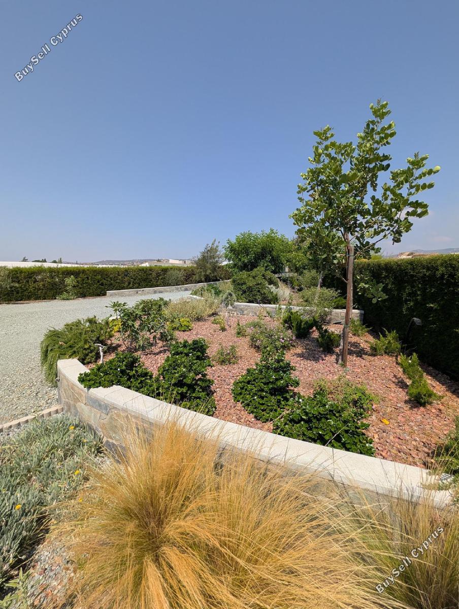 3 bedroom detached house for rent parekklisia limassol 8917306 image 17555091