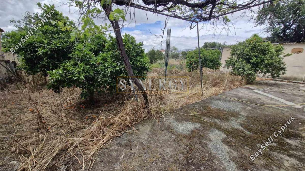 3 bedroom detached house for sale pera orinis nicosia 8598306 image 15744197