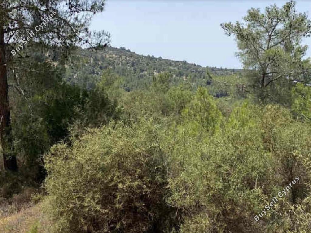 land for sale mousere paphos 1578306 image 15598200