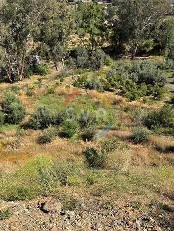 land for sale arakapas limassol 1770506 image 11340944