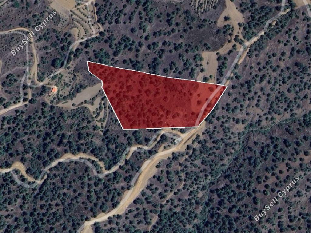 land for sale xyliatos nicosia 1387506 image 4841826